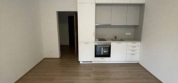 Pronájem bytu 1+kk 39 m²