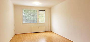 Pronájem bytu 2+1 60 m²