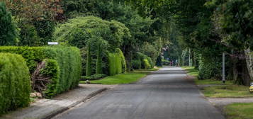 gepflegtes Einfamilienhaus mit großem Gartengrundstück am Ortsrand Westerstede (Heidkampsweg)