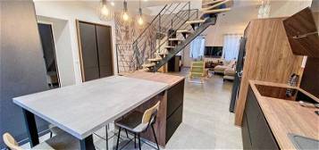 Maison contemporaine  à vendre, 8 pièces, 5 chambres, 250 m²