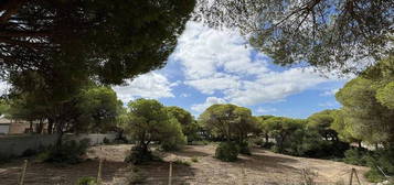 Casa rural en Las Lagunas - Campano, Chiclana de la Frontera