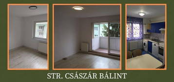 Apartament de închiriat cu două camere pe str. Csaszar Balint!