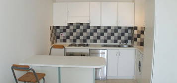 1 bed flat to rent