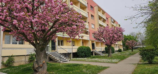 3. Raumwohnung mit Küche und Dusche, Balkon