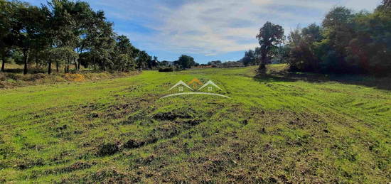 Moradia para Restaurar T3 Venda em São Pedro de Tomar,Tomar