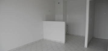 Location appartement 3 pièces 49 m²