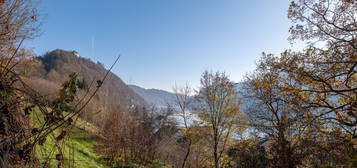 UNTERMÜHL: Schöne Gartenwohnung in idyllischer Lage mit zauberhaftem Donaublick