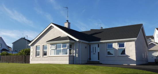 2 Hillside Park, Dunloy, Ballymoney, Ballymena, BT44 9DG