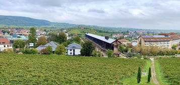 3-Zimmerwohnung mit Aufzug und traumhaftem Blick