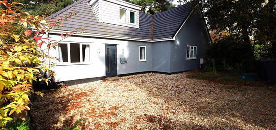 Detached bungalow to rent in Hillcrest Avenue, Ferndown BH22