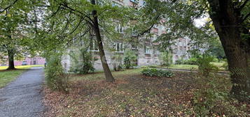 Pronájem bytu 3+1 71 m², Havířská,