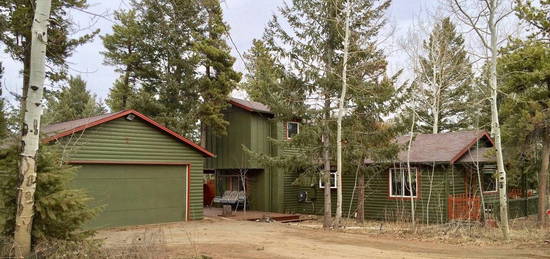 7 Evergreen Dr, Evergreen, CO 80439