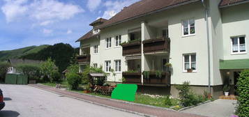geförderte 4-Raum-Wohnung in Losenstein zu vermieten