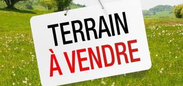 Vente maison 1000 m²