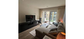 1 bed flat to rent