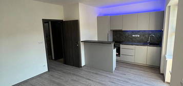 Pronájem bytu 3+kk 58 m² (Jednopodlažní)