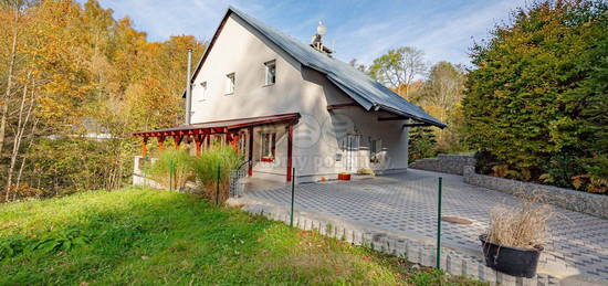 Rodinný dům, 240 m² + 489 m² pozemek, Petrovičky, Mladkov