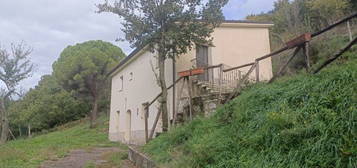 Casa indipendente in vendita a Castelpizzuto