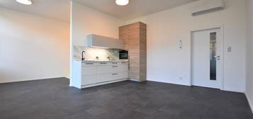 Pronájem bytu 1+kk 54 m²