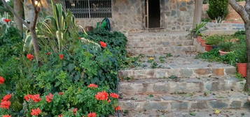 Chalet en pasaje Camí del Molinet del Vent en Riudoms