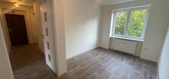 Pronájem bytu 2+1 48 m²