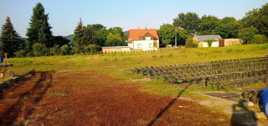 Haus mit Grundstück Radebeul, unverbaubare Lage, 30800m²