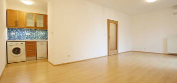 Pronájem bytu 1+kk 45 m²