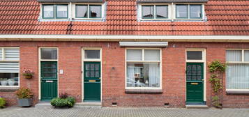 Tulpstraat 19