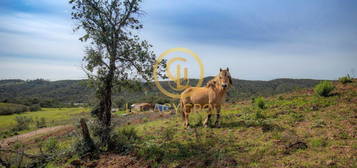 Messines, Silves - Quinta de 9ha com ruína.