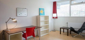 Room for rent in Lisztstraat, Delft