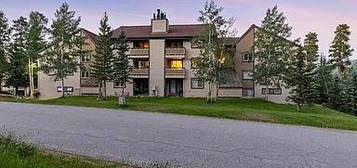 1001 Grandview Dr Unit 15UNIT 15, Breckenridge, CO 80424