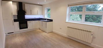 1 bed flat to rent