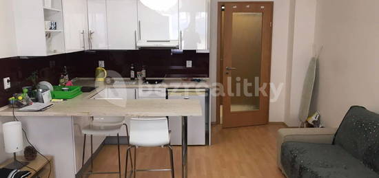 Pronájem bytu 1+kk 29 m², Hanusova, Praha