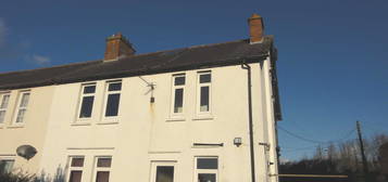 1 bed flat to rent