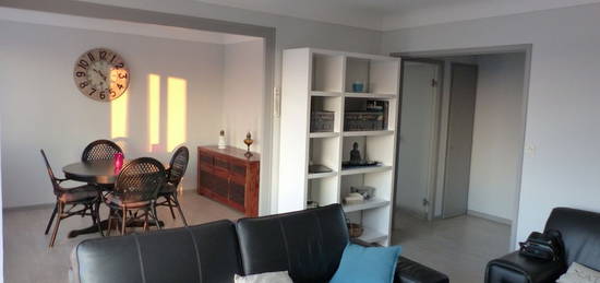 Loue appartement T3 centre ville Niort