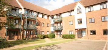 1 bed flat to rent