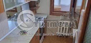 Apartament 2 camere Nicolina- 320 EURO