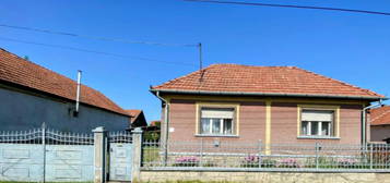 Szendrő