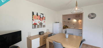 Appartement T3 plein Sud