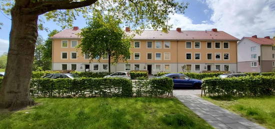 Frei ab 01.12.2024: 3-Zimmer-Erdgeschosswohnung mit Terrasse in Osternburg