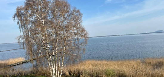 Möblierte 1-Zimmer Wohnung mit Balkon in Neustadt direkt am Meer