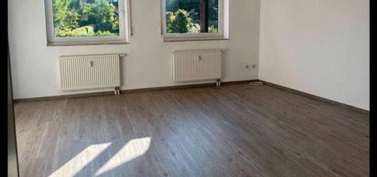 Neu renovierte 3-Zimmer-Wohnung in 31234 Edemissen zu vermieten