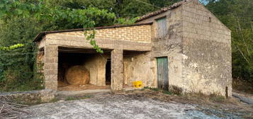 Cascina, da ristrutturare, 13100 m², Piana di Monte Verna