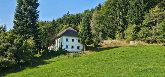 Bauernhof samt Auszugshaus (Sternchenbau) mit land- und forstwirtschaftl. Grund in idyllischer Alleinlage