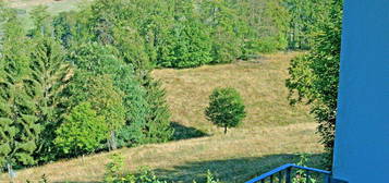 Ferienwohnung Sankt Andreasberg Oberharz