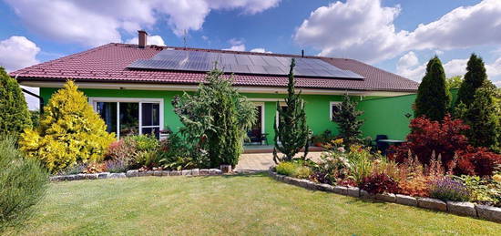 Dům, 174 m² + 1439 m² pozemek, U Strouhy, Homole