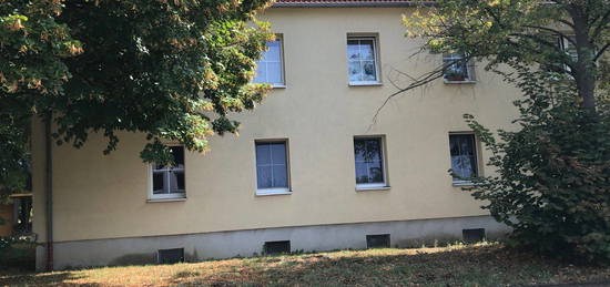 helle 2-Raum-Wohnung in ruhiger Lage, 50m²