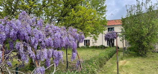 Maison en pierre de 160m2 avec 3000m2 de terrain attenant, 2 grands garages  et un  atelier