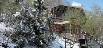 CHALET Saint-Lary-Soulan vue dégagée sur les montagnes entourés de forêts et d'espaces verts