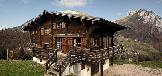 Chalet famillial en plein coeur de la nature